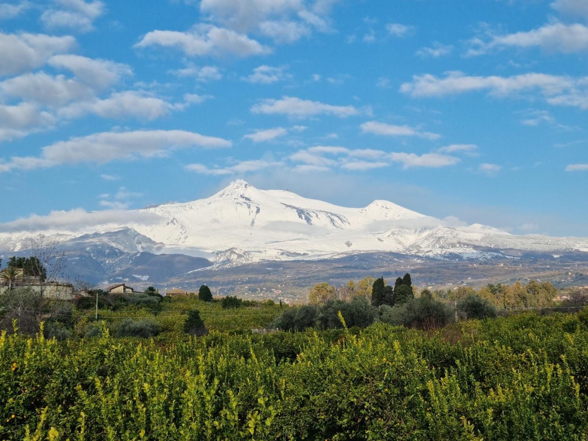 Luxury Historic Residence With Heated Pool Near Catania, Taormina, The Sea And Mount Etna Giarre Buitenkant foto